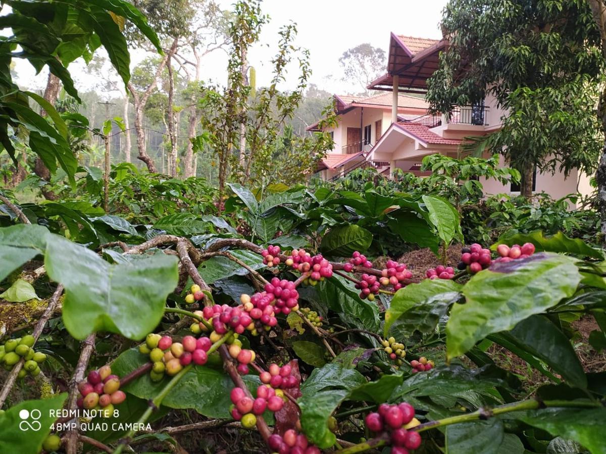 Wanders In Travel Company Ξενοδοχείο Madikeri Εξωτερικό φωτογραφία