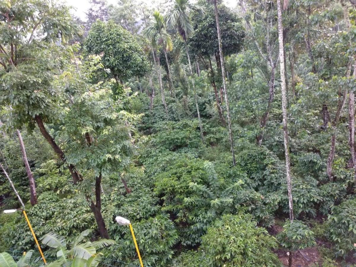 Wanders In Travel Company Ξενοδοχείο Madikeri Εξωτερικό φωτογραφία