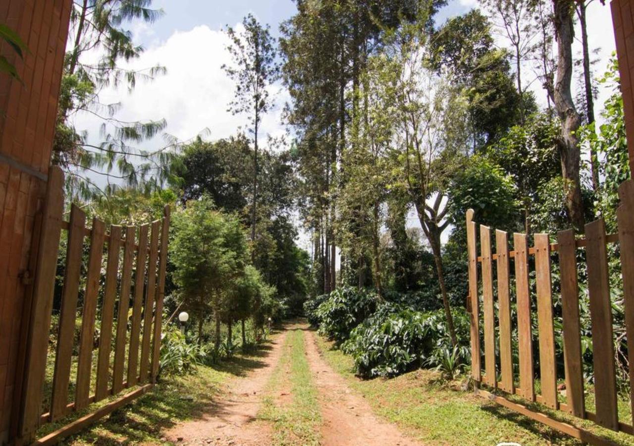 Wanders In Travel Company Ξενοδοχείο Madikeri Εξωτερικό φωτογραφία