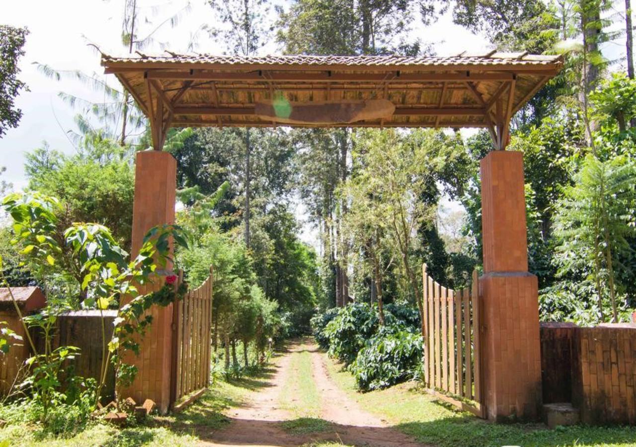 Wanders In Travel Company Ξενοδοχείο Madikeri Εξωτερικό φωτογραφία