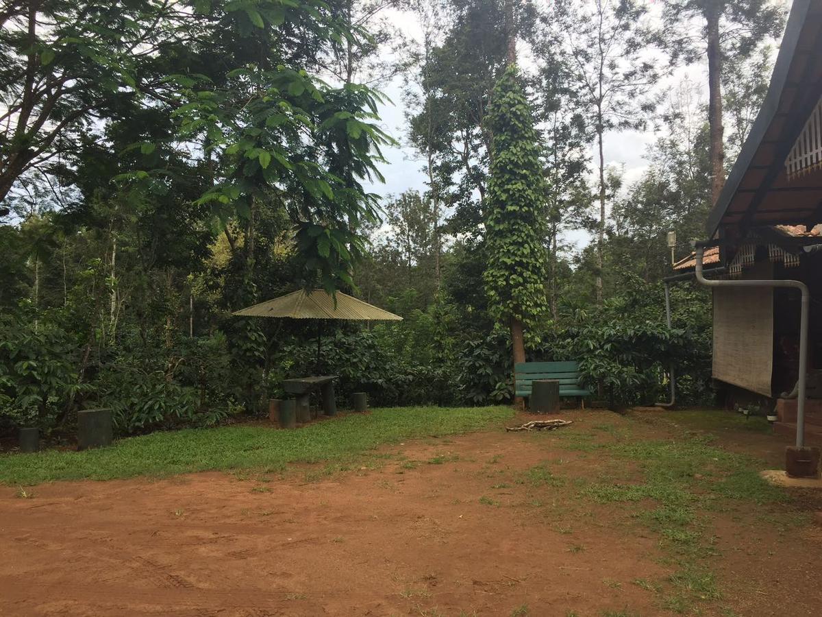 Wanders In Travel Company Ξενοδοχείο Madikeri Εξωτερικό φωτογραφία